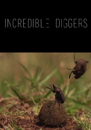 Удивительные копатели / Incredible Diggers VO