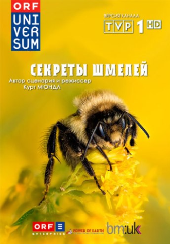 Секреты шмелей / Hummeln - Bienen im Pelz / Secrets of Bumblebees DUB