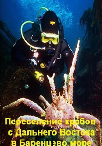 Переселение крабов с Дальнего Востока в Баренцево море
