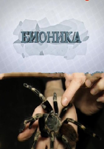 Большой скачок. Элемент жизни. Бионика. Власть паутины