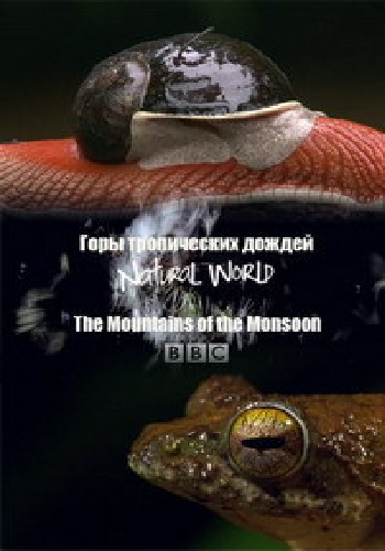 Мир природы - Горы тропических дождей / Natural World - The Mountains of the Monsoon VO