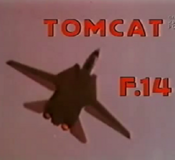 F-14. Красные звезды. Знаменитые самолеты / F-14 Tomcat
