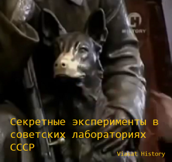 Секретные эксперименты в советских лабораториях СССР
