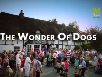 Лучший друг человека (1-3 серии из 3) / The Wonder of Dogs VO