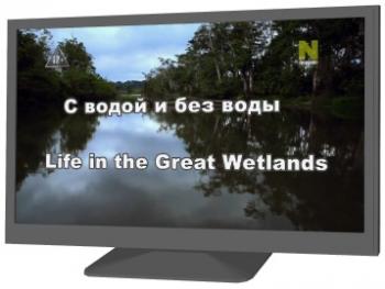 С водой и без воды (фильмы 1-5 из 5) / Life in the Great Wetlands VO