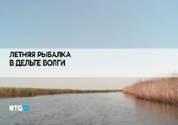 Летняя рыбалка в дельте Волги