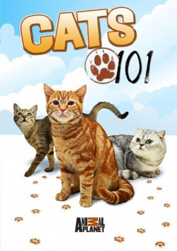 Введение в котоводство (1-3 сезоны: 10 серий из 10) / Cats 101 VO