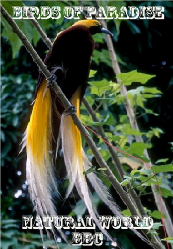 Живая Природа. Райские птицы / Natural World. Birds of Paradise VO