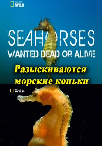 Разыскиваются морские коньки / Seahorses Wanted Dead or Alive DUB