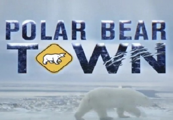 Городок полярных медведей (1-12 серии из 12) / Polar Bear Town VO