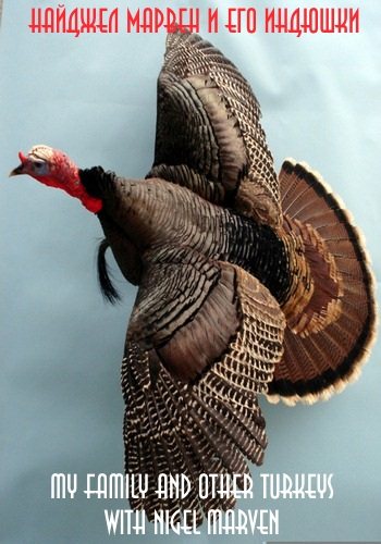 Найджел Марвен и его индюшки / My Family and Other Turkeys with Nigel Marven VO