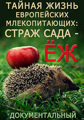 Тайная жизнь европейских млекопитающих: Страж сада - ёж / The Secret Life Of European Mammals: The Garden Warrior - The Hedgehog VO