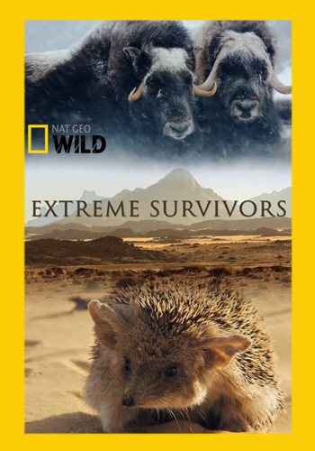Выжить несмотря ни на что / Extreme Survivors DUB