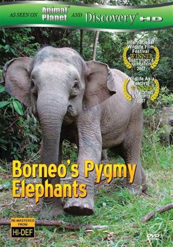 Слоны-пигмеи острова Борнео / Borneo's Pygmy Elephants VO
