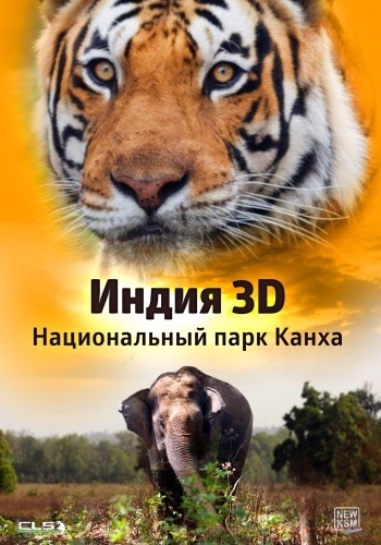 Индия: Национальный парк Канха / India: Kanha National Park VO