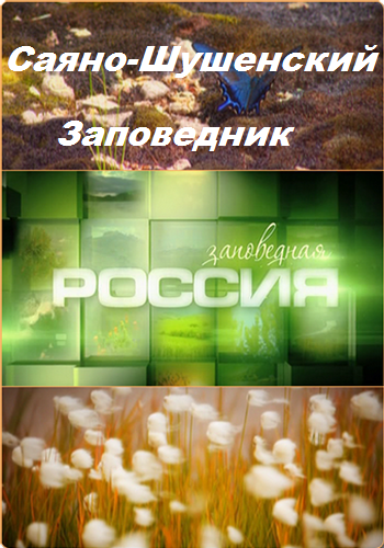 Заповедная Россия. Саяно-Шушенский заповедник