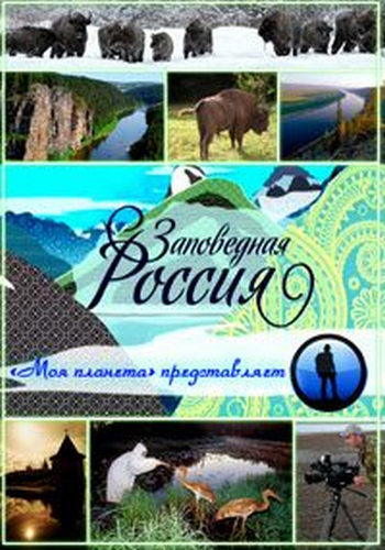 Заповедная Россия. Кедровая падь