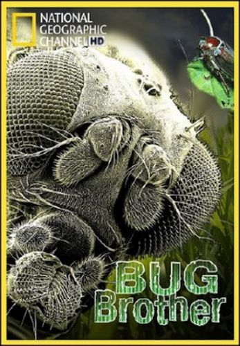 Наши невидимые спутники / National Geographic. Bug Brother VO