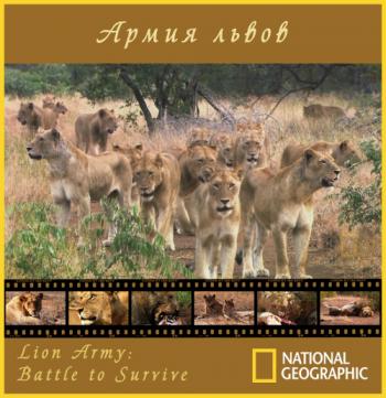 Армия львов: Битва за выживание / National Geographic. Lion Army. Battle To Survive VO