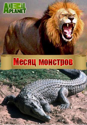 Месяц монстров (1-19 фильмы из 19) / Month of monsters VO