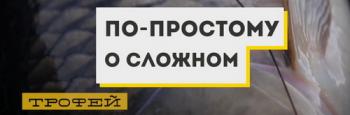 Телепрограмма По-простому о сложном / Телеканал Трофей / (15-18 выпуски)