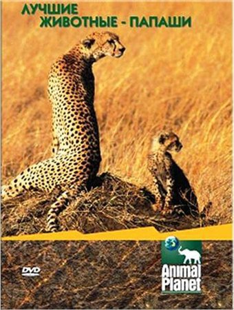 Лучшие животные-папаши / Animal Planet. Ultimate Animals Dads VO