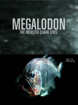 Акула-монстр: мегалодон жив / Animal Planet. Megalodon: The Monster Shark Lives VO