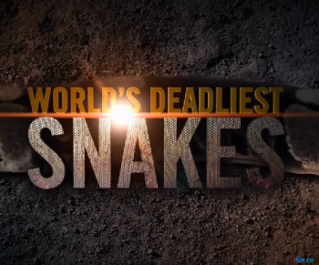 Самые опасные змеи в мире / NAT GEO WILD. World's deadliest snakes DUB