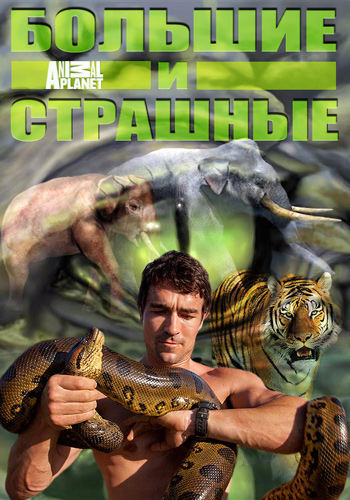 Большие и страшные (1 сезон: 1-5 серии из 5) / Animal Planet. Biggest and Baddest VO