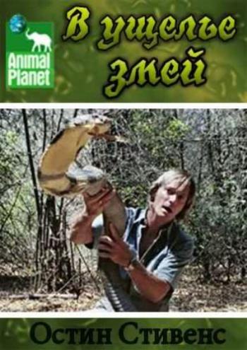 Остин Стивенс - В Ущелье Змей / Animal Planet. Austin Stevens - Valley of the Snakes VO