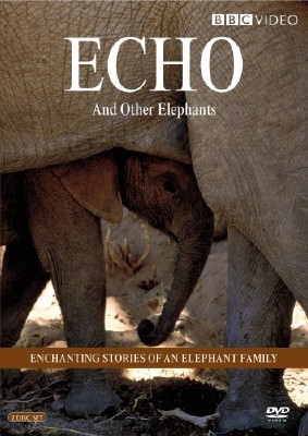 Эхо и слоны Амбозели (1-13 серии из 13) / Animal Planet. Echo and the elephants of Amboseli VO