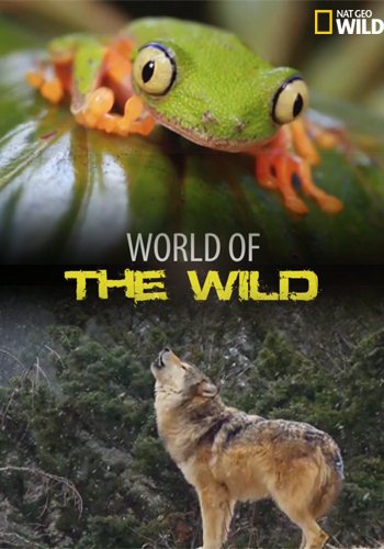 Мир Дикой Природы (1-4 сезон: 1-29 серии из 29) / Wild World DUB
