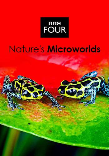 Нетронутые уголки дикой природы (1,2,3 сезоны: 1-16 серии из 16) / BBC. Nature's Microworlds VO