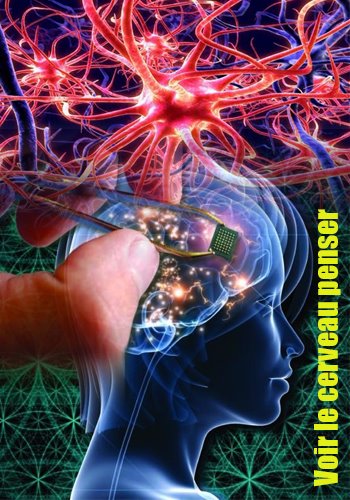 Как думает наш мозг / Voir le cerveau penser DVO
