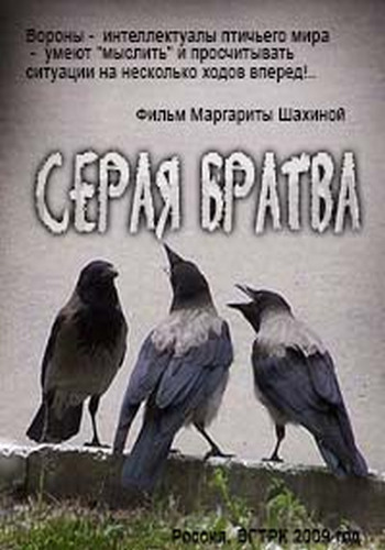 Серая братва