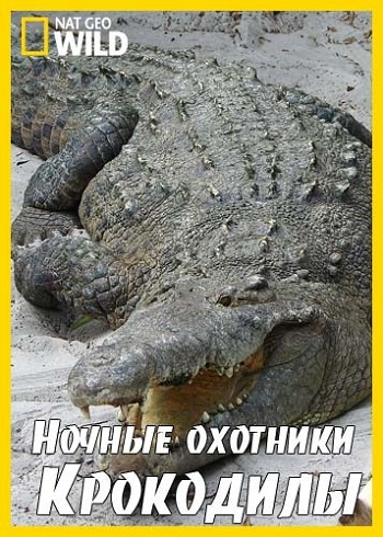 Ночные охотники. Крокодилы / NAT GEO WILD. Nightstalkers. Crocodiles VO