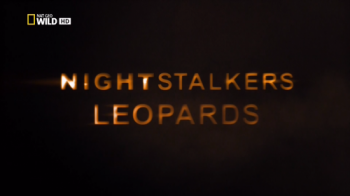 Ночные охотники. Леопарды / NAT GEO WILD. Night Stalkers.Leopards VO