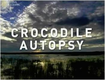 Анатомия крокодила / National Geographic. Crocodile autopsy VO