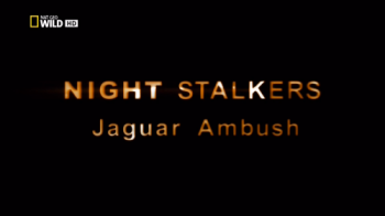 Ночные охотники. По следам ягуара / NAT GEO WILD. Night Stalkers. Jaguar Ambush VO