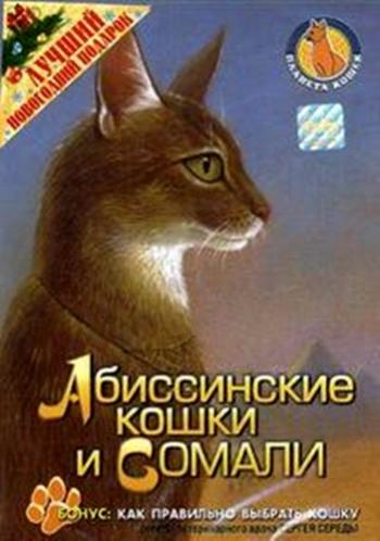 Планета кошек: Аббисинские кошки и Сомали
