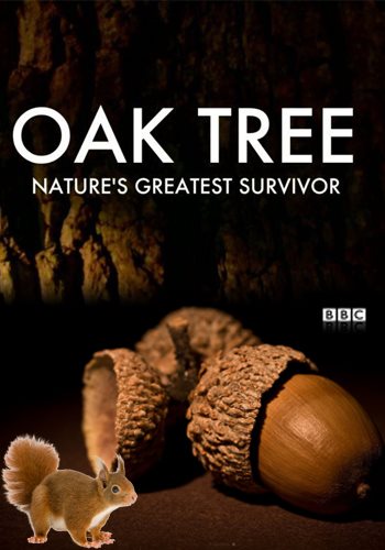 Дуб - искусство выживания / Oak Tree: Nature's Greatest Survivor DVO
