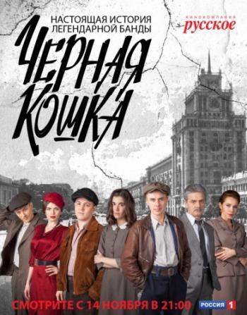 Черная Кошка (1-16 серии из 16)