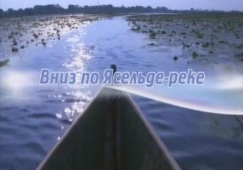 Вниз по Ясельде-реке
