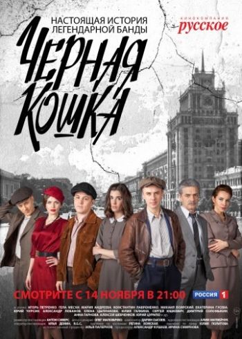 Черная кошка (1-16 серии из 16)