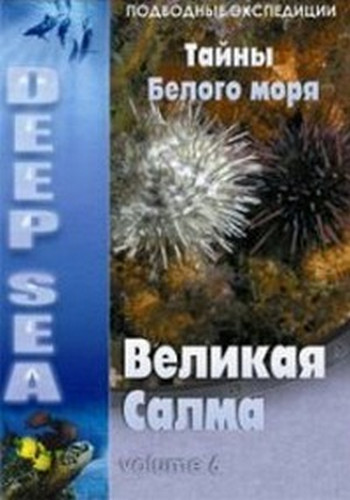 Тайны Белого моря: Великая Салма / Deep Sea