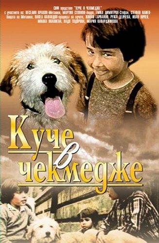 Собака в ящике / Куче в чекмедже / Kuche v chekmedzhe SUB
