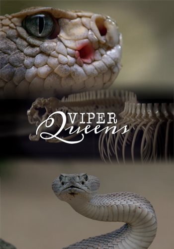 Королевы гадюк / Viper Queens VO