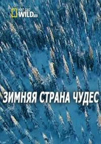 Зимняя страна чудес / Winter Wonderland DUB