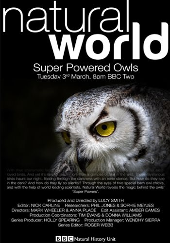 Мир природы: Совы. По ту сторону тайны / The Natural World: Super Powered Owls MVO