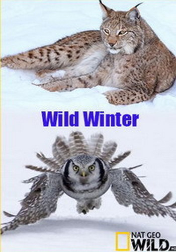 Зимний сезон / Wild Winter DUB